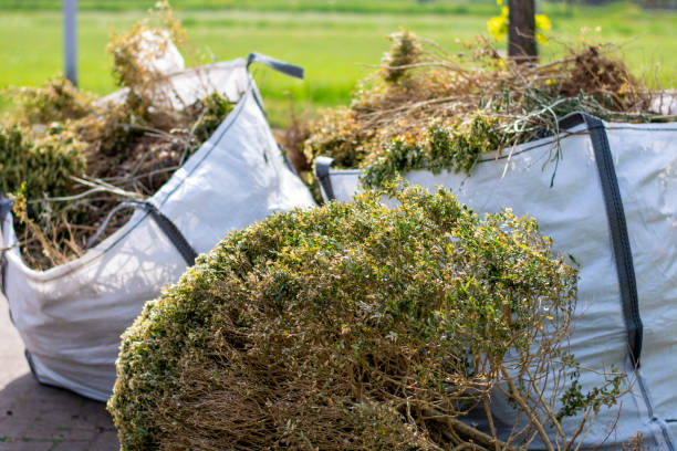Trusted East Mountain, TX Junk Removal Experts